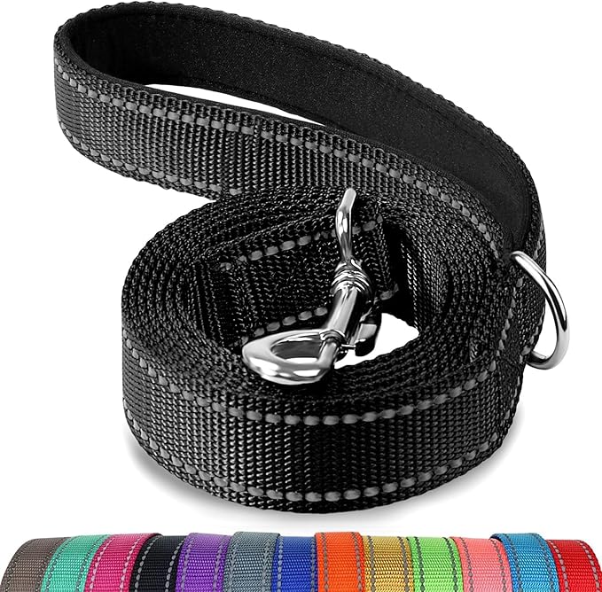 Joytale Dog Leash, 5 FT Double-Sided Reflective, Padded Handle Nylon Heavy Duty Leashes for Small Dogs Walking, Black
