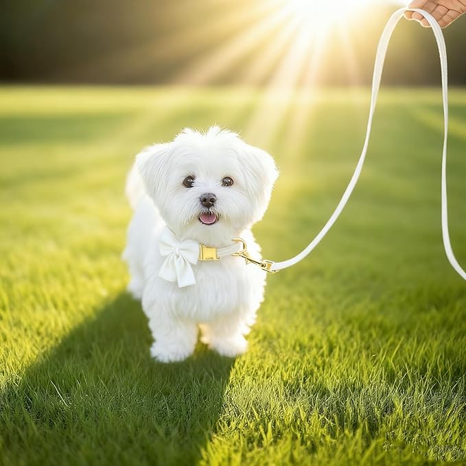 Dog Collar and Leash Set with Bowtie, Girl Dog Collars Metal Buckle Adjustable for Small Medium Dogs (White, M: Neck 13"-22" Leash 5 FT)