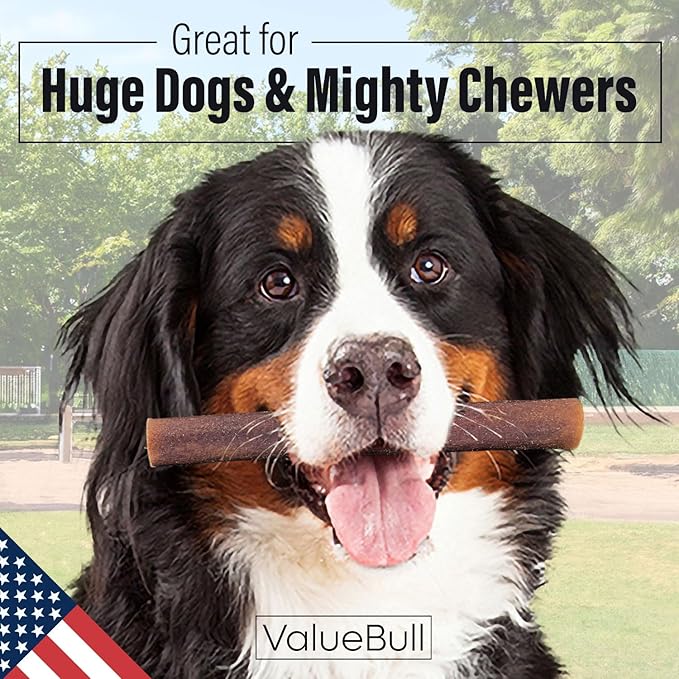 ValueBull USA Collagen Sticks for Dogs, 6 Inch Super Jumbo Chews, Natural Long-Lasting Dog Treats, 50 Count - Promotes Joint, Skin & Coat Health with Glucosamine and Chondroitin
