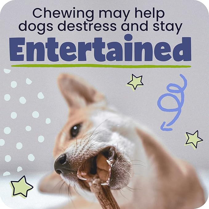 Pawstruck Natural 7" Braided Bully Sticks for Dogs - Long Lasting Rawhide Free Low Odor Single Ingredient Chew Treat for Aggressive Chewers - 1lb Bag