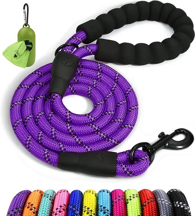 Taglory Rope Dog Leash 5 FT with Comfortable Padded Handle, Highly Reflective Threads Leash and Anti-Tangle Clip for Walking Small Dogs, 3/8 inch, Purple