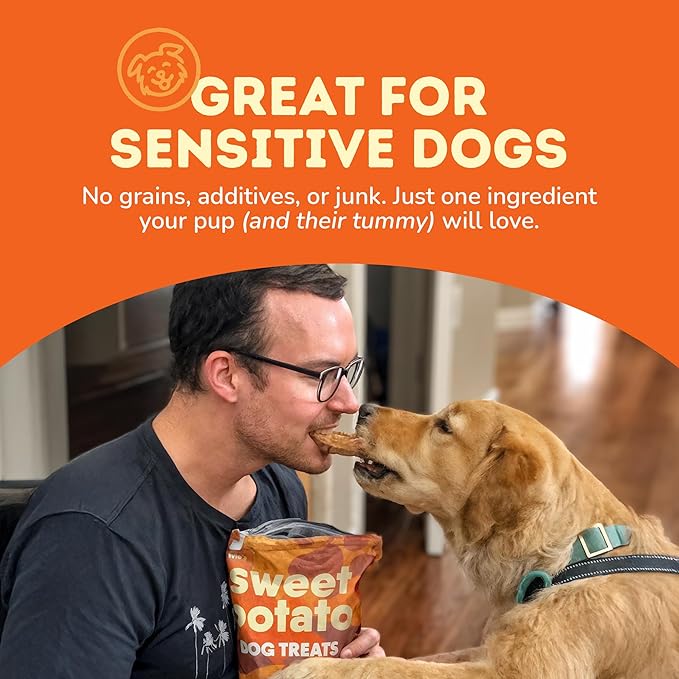 Davie's Sweet Potato Dog Treats - Healthy Treats Made in USA Only, Natural, Healthy Dog Chews, Low Fat, 1 lb Bag - Pack of 2