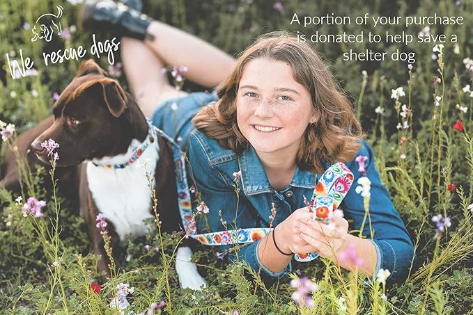 Lucky Love Dog - Easy Click Buckle Dog Collar with Leash Set Combo, Durable & Comfortable for Male & Female Dogs, Pet Collar for Small Dogs, Secure Fit - Ladybird Combo, XS
