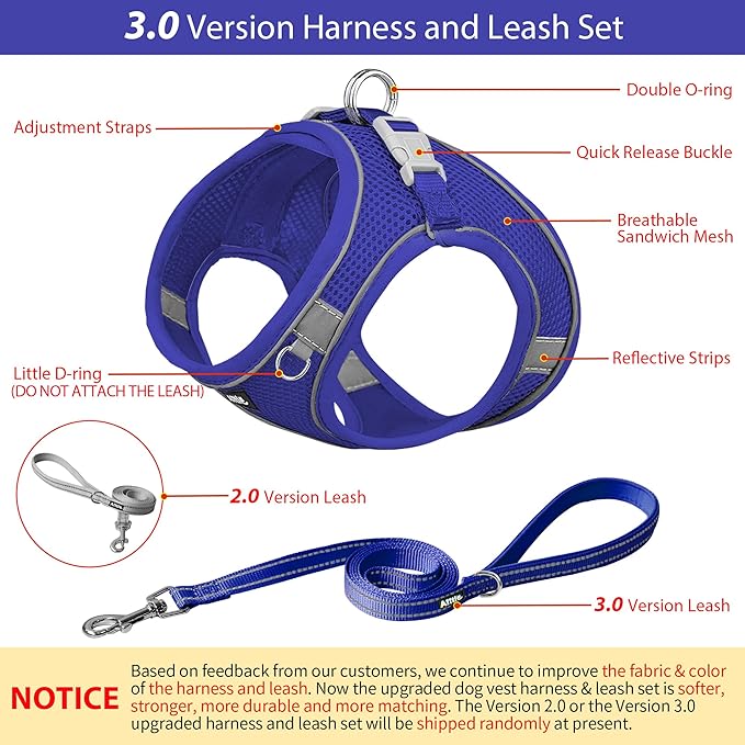 AIITLE Dog Harness, No-Pull Cat Harness with a Leash, Adjustable Reflective Dog Vest, Cat Harness Escape Proof, Outdoor Walking, Running,Training for Extra Small Dogs and House Cats Royal Blue XXXS
