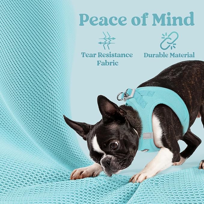 rabbitgoo Small Dog Harness, Step-in Soft Mesh Puppy Vest with Safety Buckle, Breathable Reflective Pet Harness for Extra Small Dogs, Mint Blue XXXS