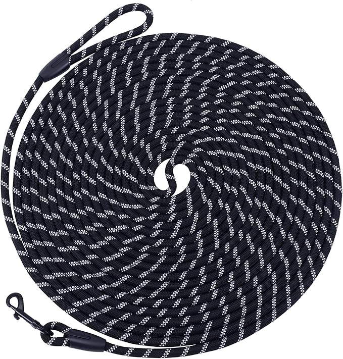 Long Dog Leash for Training 30Ft-Reflective Nylon Rope with Swivel Hook-Recall Agility Lead for Large Small Medium Dogs Outside Walking Hiking-Black