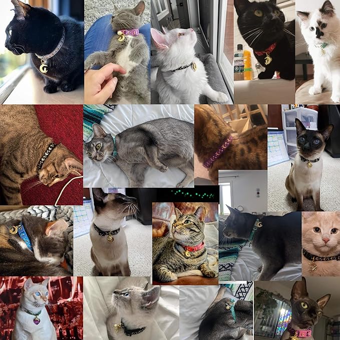 WAAAG Cat Collars, Gold Moons and Stars Cat Collar, Safety Breakaway Cat Collar, Glow in The Dark (Standard 9"-15" Neck, Grey)