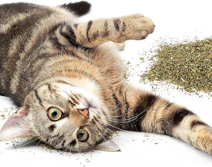 Petlinks HappyNip Catnip & Silvervine Blend for Cats & Kittens, Highly Potent Stimulant/Attractant, Great for Finicky Felines, Resealable Pouch - 2.0 oz