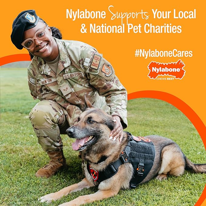 Nylabone Broccoli Power Chew Toy for Dogs, Dog Toys for Aggressive Chewers, Bacon & Cheese Flavor, Large Dogs - Up to 50 lbs, 1 Count