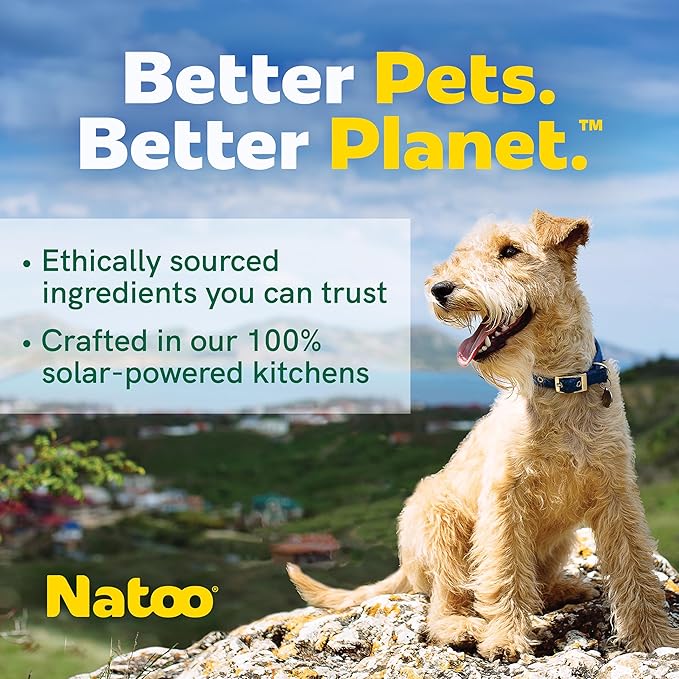 NATOO Dog Treats for Large Breed, Crunchy Biscuits Oats Banana and Honey, Natural Dog Treats, Rich in Omega 6, Prebiotics and Fiber, Antioxidants for Immunity, 8oz