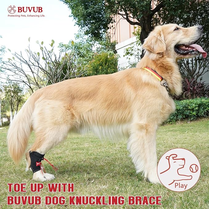 Dog Canine Knuckling Brace Front Paw Rear Leg Dog Foot Brace Wrap for Toe Dragging Cause by Sciatic Nerve Insufficiency, Myelopathy, Herniated Disc（XLarge,Pair Pack）