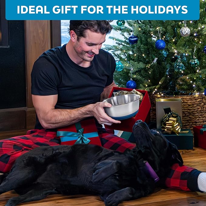 Master Pet Supply Stainless Steel Dog Bowls Set of 2 with Extra Thick Silicone Base - 4 Cup (32 oz) Emerald Sea, Non-Slip, Dishwasher Safe Metal Bowls, Pet Dog Food Bowl for Dogs, Cats, Anti Rust
