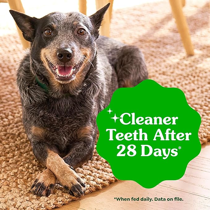 Greenies Veterinarian-Recommended Adult Natural Dental Dog Treats Petite Size, Variety Pack Flavor, (3) 12 oz. Packs, 60 Count