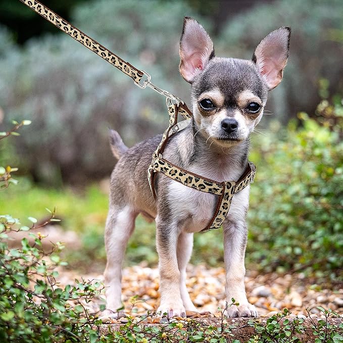 Mile High Life Leopard Dog Harness Collar Leash Set, Adjustable No Pull Dog Halter Harness for Small Breed Dogs, Easy Control for Training Walking (Brown, S Chest 11"-18", Neck 10"-14")