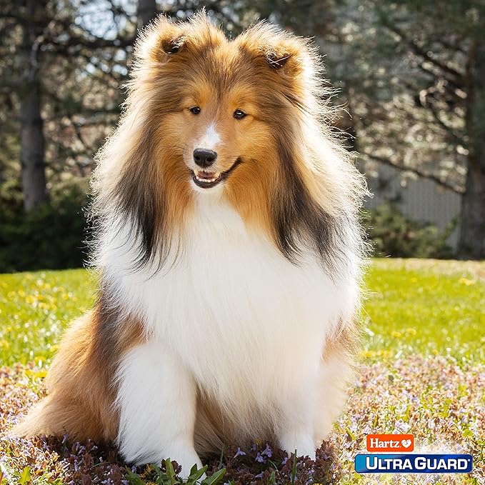 Hartz UltraGuard Plus Flea & Tick Home Spray, Kills Fleas and Ticks, Clean Fresh Scent, 16 Ounce