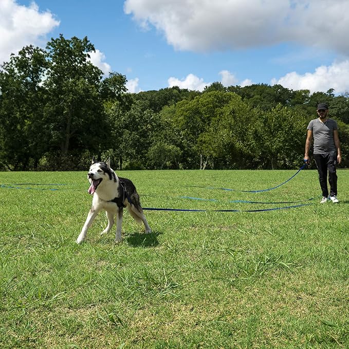Hi Kiss Dog/Puppy Obedience Recall Training Agility Lead - 15ft 20ft 30ft 50ft 100ft Leash - Great for Play, Camping, or Backyard - Orange