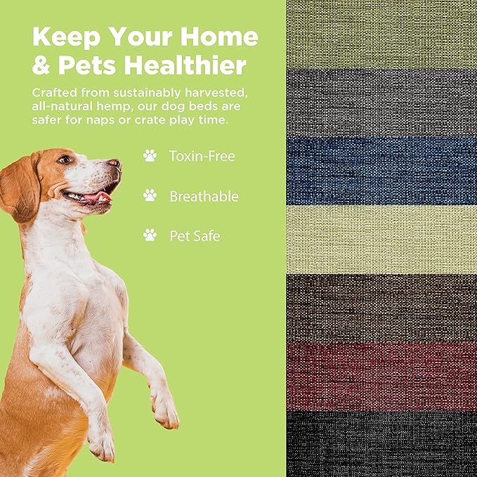 Medium - 36 x 24 x 5 - Black Premium Org Hemp Dog Bed - Organic Latex Fill - Removeable Cover